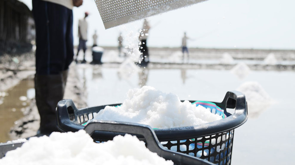 Salt farming is a traditional practice in Cambodia, mostly carried out in Kampot province. PHOTOS SUPPLIED