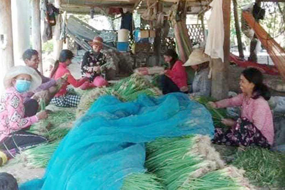 People sorting garlic in Kampong Chhnang. PHOTO SUPPLIED