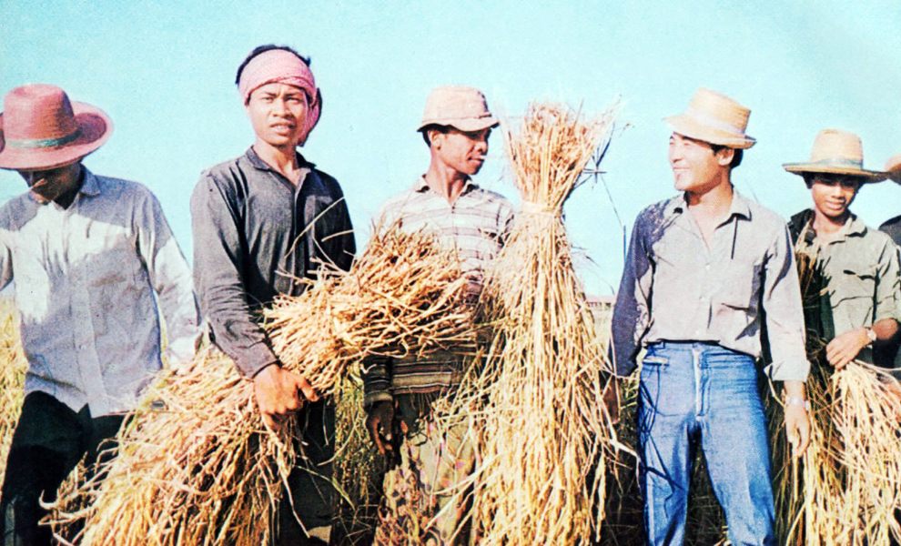 A Japan Overseas Cooperation Volunteers (JOCV) specialist works with rice farmers in Battambang in the 1960s. PHOTO SUPPLIED
