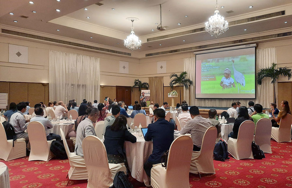 NaturelLife Cambodia has shared its experiences and challenges in empowering Tonle Sap region communities and tackling the decline of the Sarus Crane at an international workshop. NATURELIFE CAMBODIA