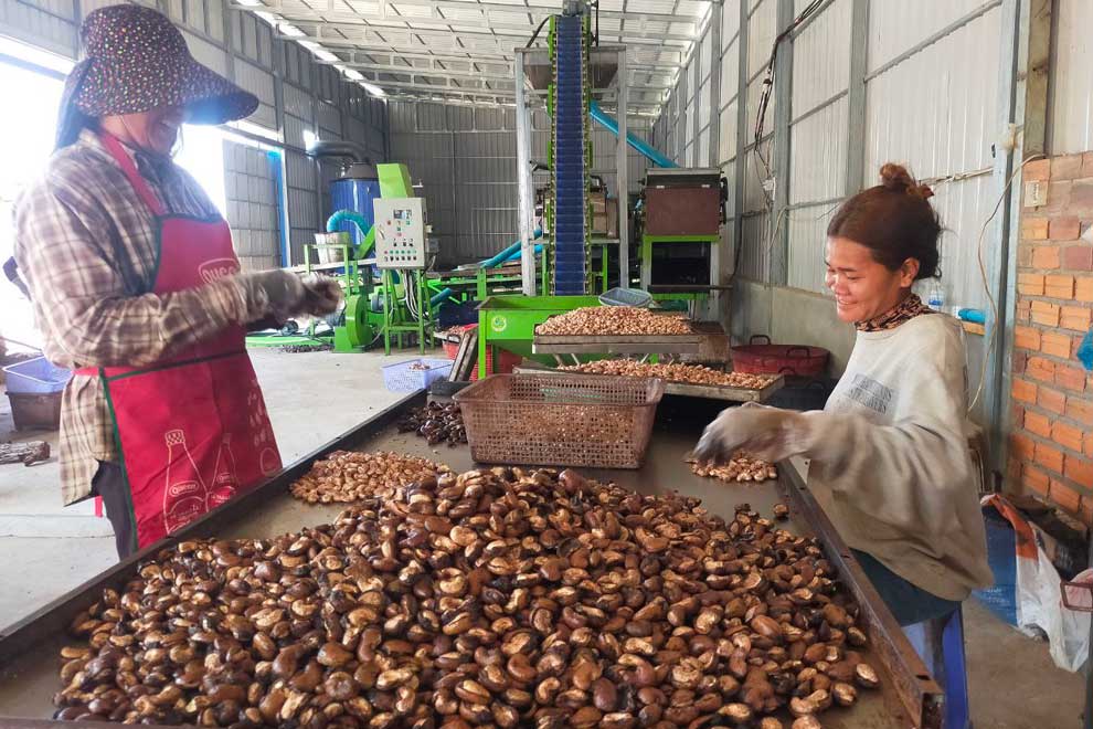 The Cashew Village in picturesque Banteay Srei district, Siem Reap province. Photo supplied