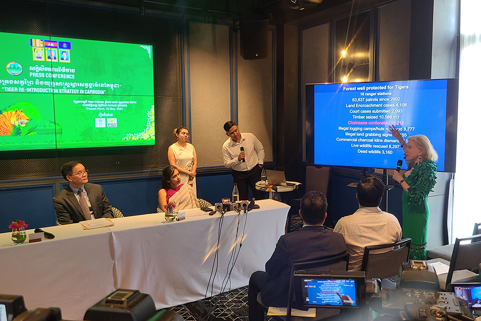Suwanna Gauntlett, founder and chief executive officer of Wildlife Alliance, presents details of her organisation’s work in the Cardamoms, at a May 23 press conference held to announce the impending return of tigers to the mountain range. Hong Raksmey