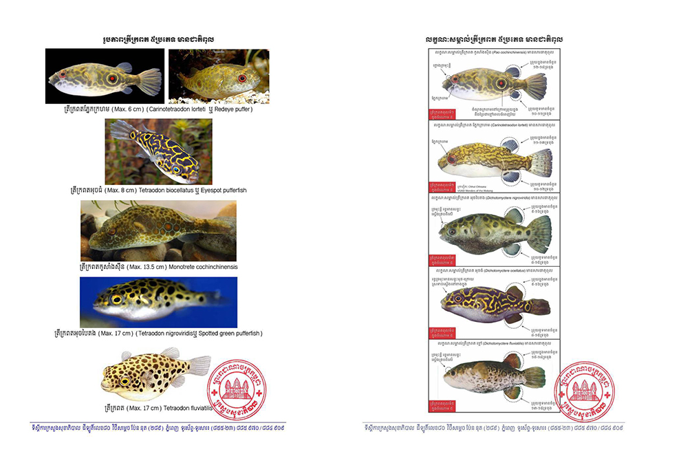 Details of the Kingdom’s five toxic species of puffer fish were released by the health ministry, following the latest poisoning case. Health ministry