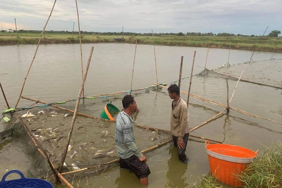 CAPFish is designed to support sustainable development, climate resilience and the inclusivity of the Kingdom’s freshwater and marine fisheries resources. Supplied