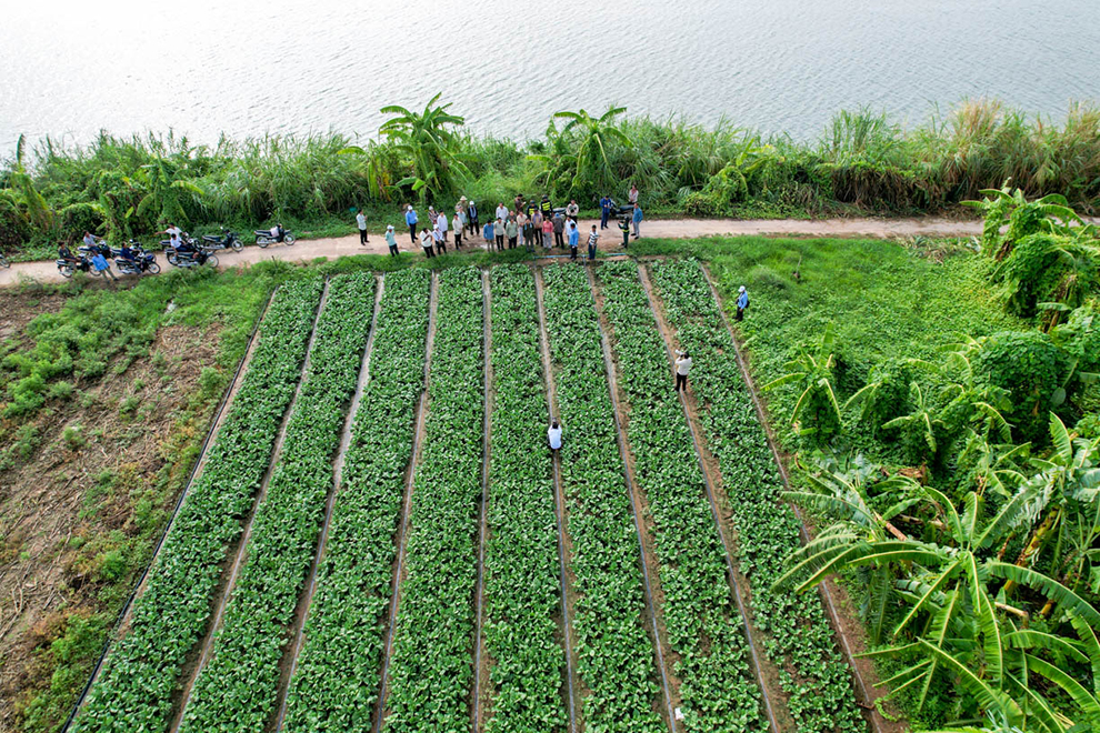 Koh Peam Raing village’s organic vegetable sales reach about $300,000 annually. Rural Development Ministry