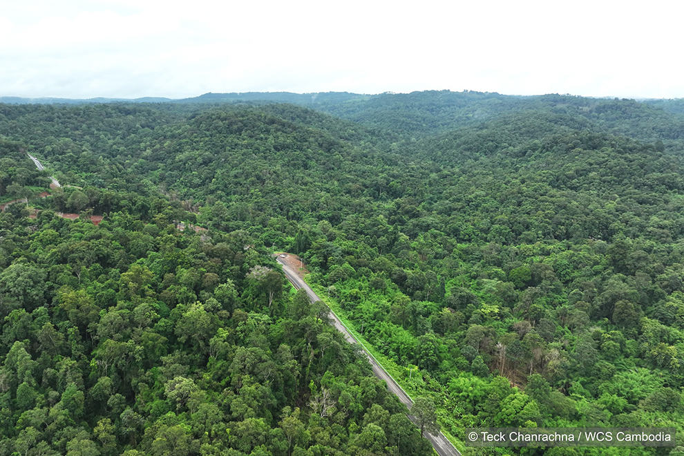 Keo Seima Wildlife Sanctuary in Mondulkiri province encompasses more than 300,000 hectares, with the Keo Seima REDD+ Project covering 166,983 hectares of forest. Keo Seima REDD+