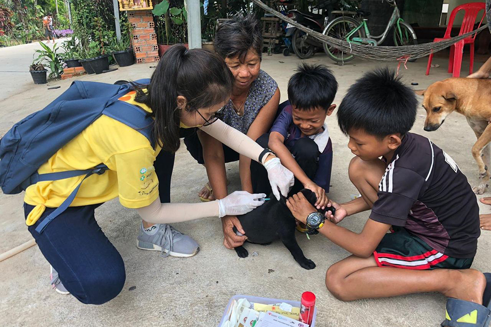 Last year’s campaign vaccinated nearly 75,000 dogs in Phnom Penh and Kandal province, marking a significant step in rabies control. Supplied