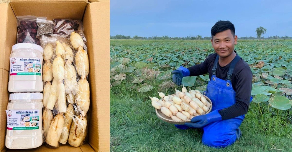 The tubers are versatile ingredients, and Kunthea also processes lotus roots into powder to meet market demand. Supplied