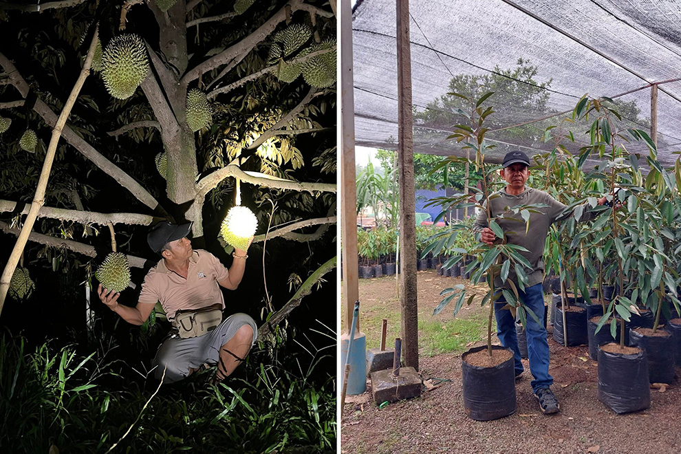 Soem Sochet pictured with durian fruits and seedlings. Supplied