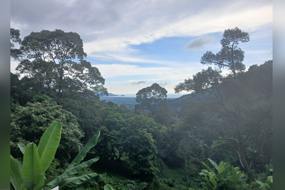Penang Island in Malaysia. Tim Jones
