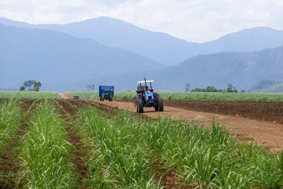 Agricultural machinery travels though a plantation in Oral district. Post staff
