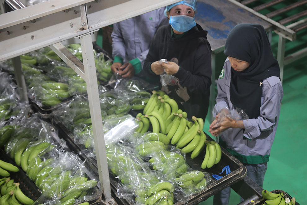 Workers pack bananas. Hong Raksmey
