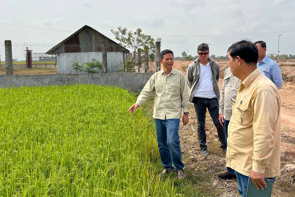 Ministry officials inspect efforts to irrigate dry-season rice in Svay Chrum district, Svay Rieng province, last month. Supplied