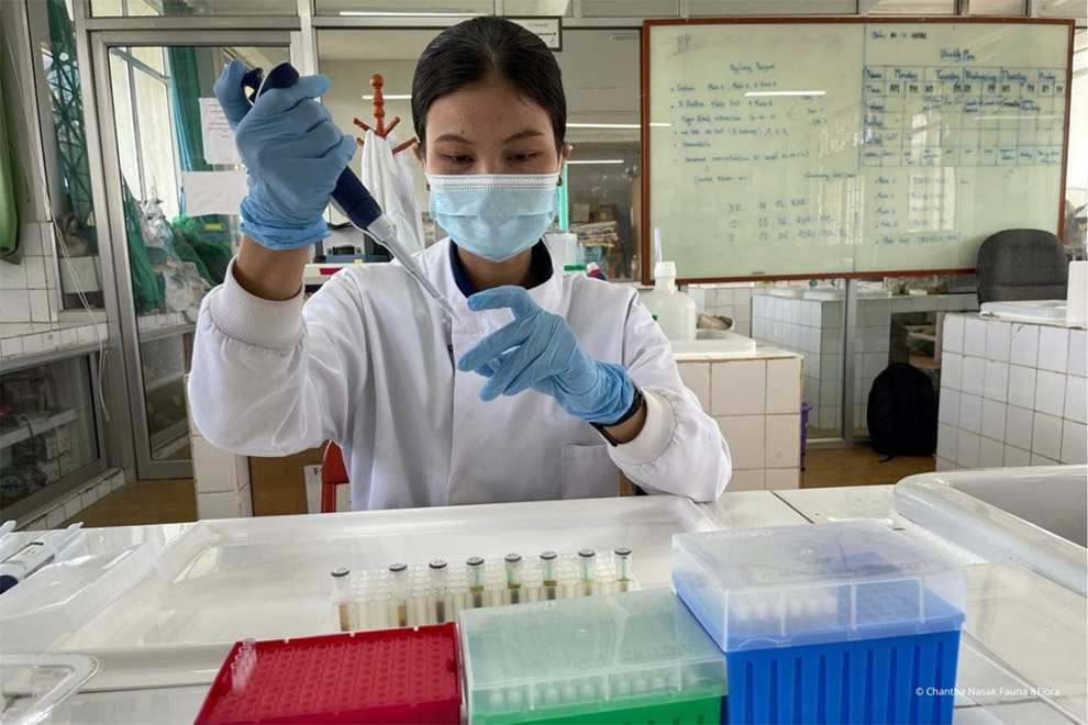 The Royal University of Phnom Penh conducted the genetic research, with technical support from