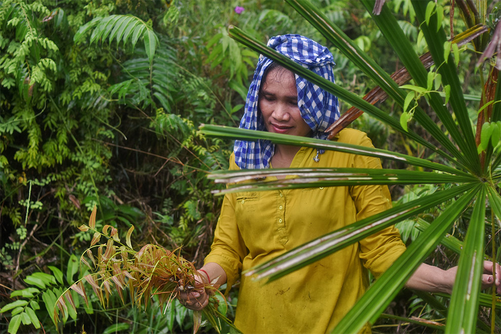 A Kouy woman gathers forest products. Supplied