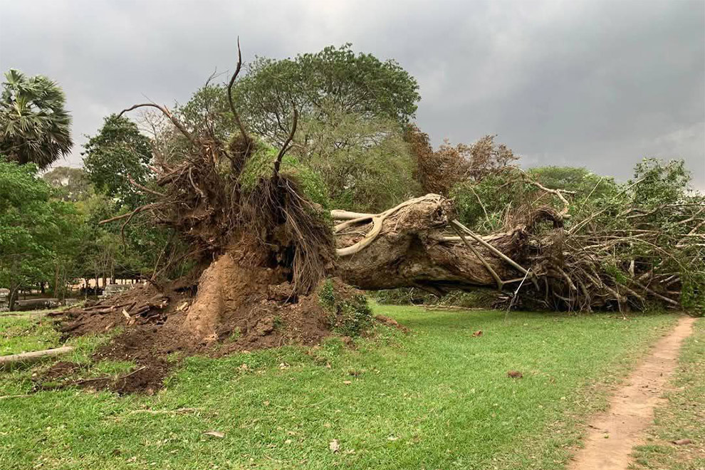 The authorities were working to restore road access after several roads were blocked by falling trees across Siem Reap province on March 16. ANA