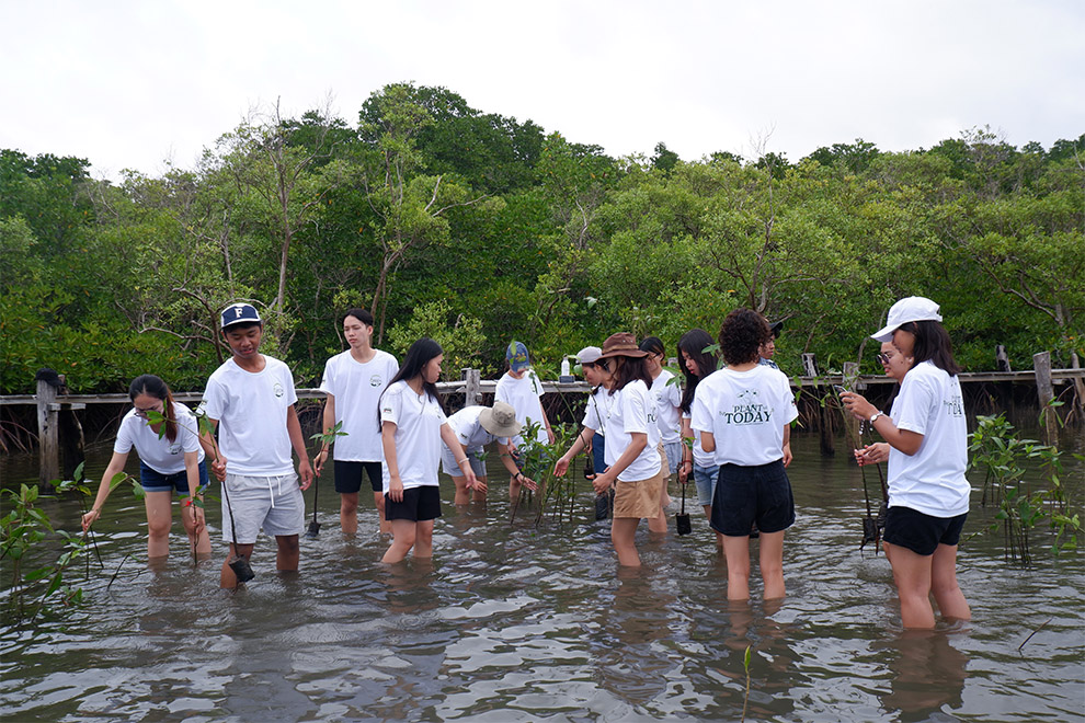 Each of them also planted ten mangrove saplings, to restore and protect the coastal ecosystem. Green Pioneers