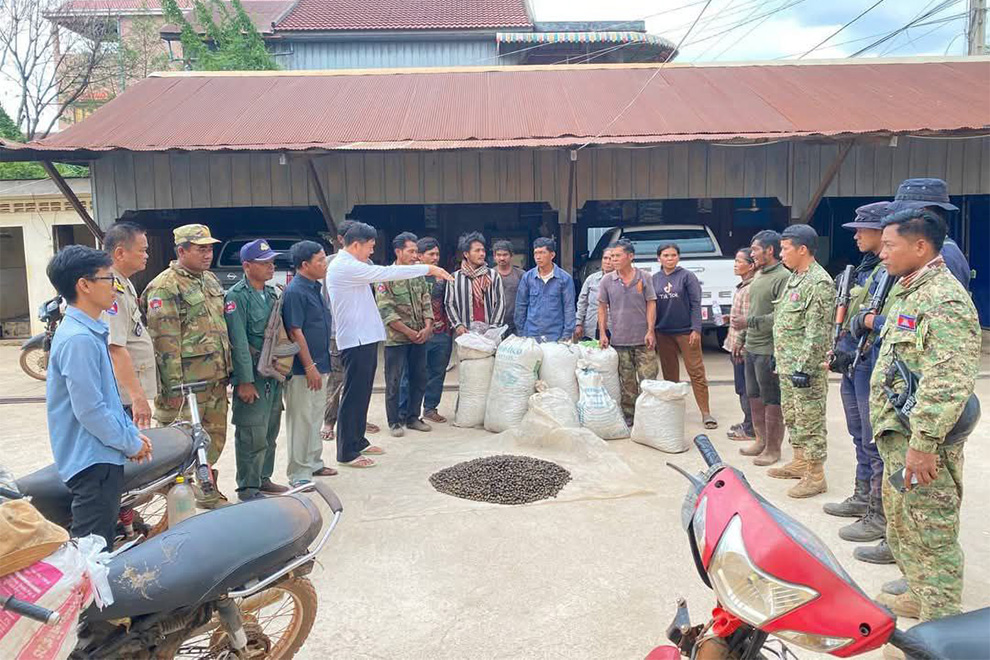 Local officials educate residents not to harvest the fruit by felling an entire tree. Phnom Karvanh, Duong Chit