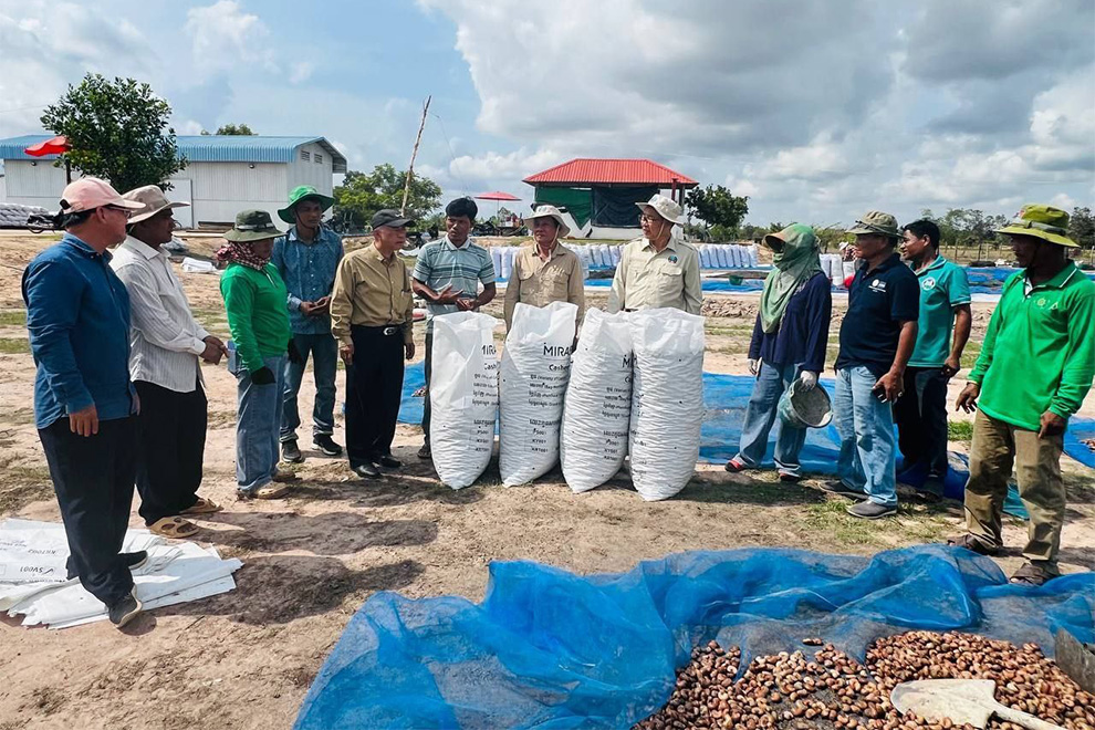 A team from the agriculture ministry evaluated the cashew nut harvest at three modern farming communities in Kampong Thom province on April 19-20. Agriculture ministry