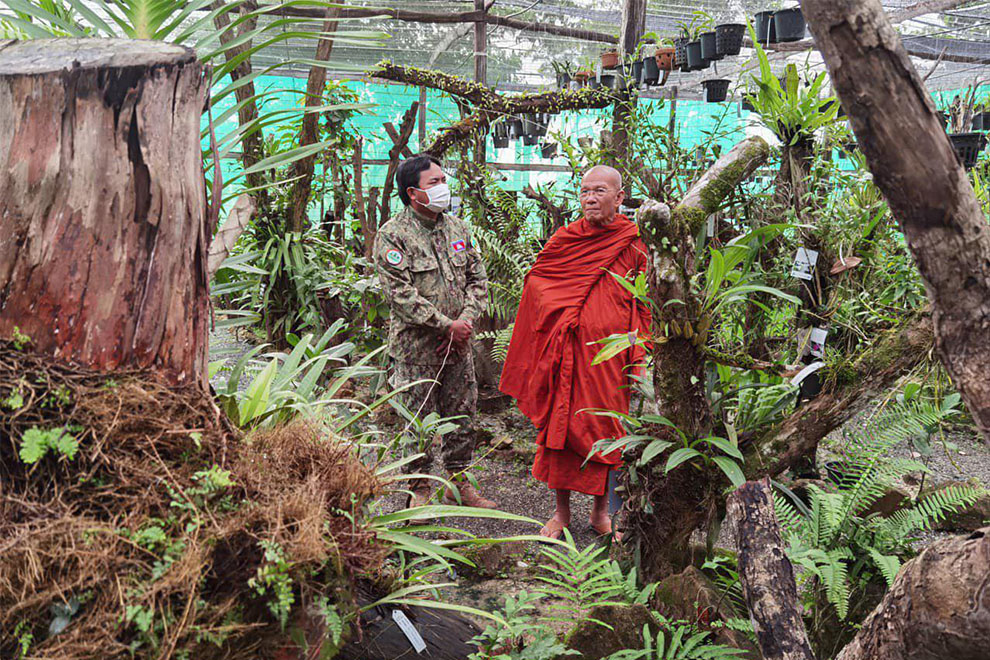An example of the rare species is currently blooming at the Sok An Phnom Kulen Orchid Research and Conservation Center, in Siem Reap province. Environment ministry