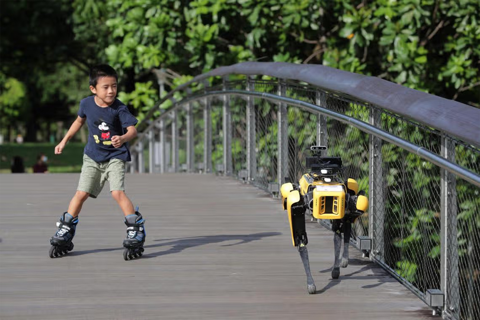 Spot patrolling Bishan-Ang Mo Kio Park on May 8, 2020, during a pilot trial. PHOTO: THE STRAITS TIMES