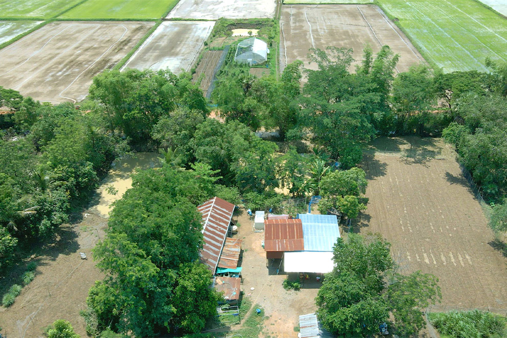 A bird’s-eye view of their farm shows the just-ploughed vegetable patches, ponds and a greenhouse. Supplied