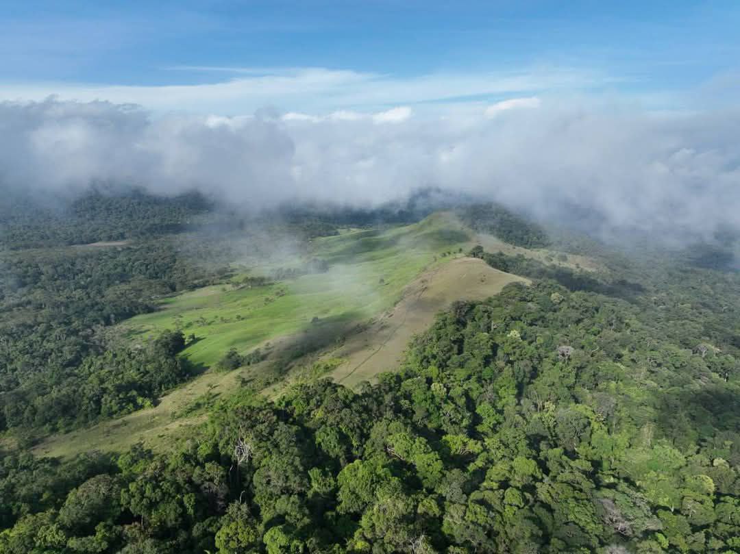 Phnom Khnang Phsar, an ecotourism site in Kampong Speu province’s Oral district, is famous for its unspoilt natural beauty. Environment ministry