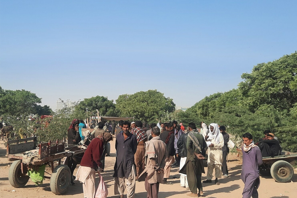 Donkey market in Bhains Colony, Karachi, a neighborhood known for cattle and meat trade. PHOTO: DAWN
