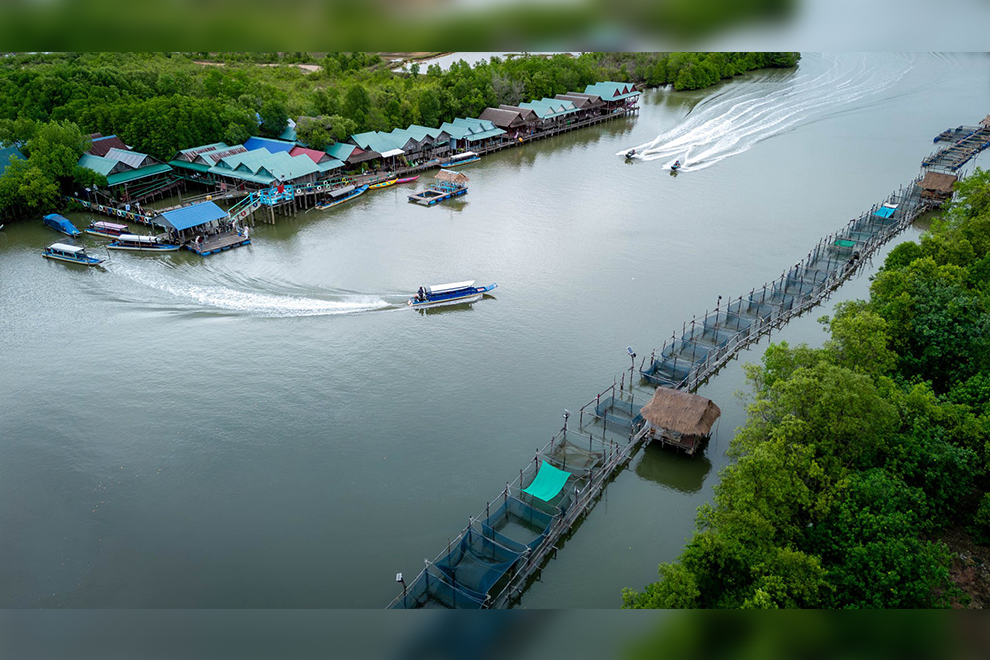 By restoring vital coastal ecosystems like mangroves and seagrasses, the project aims to make fisheries more sustainable. Supplied