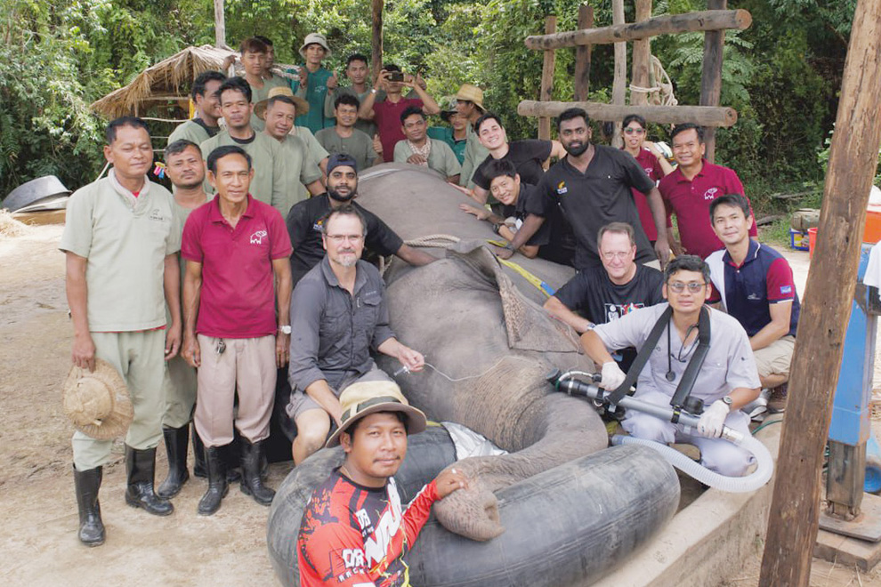 Kulen Elephant Forest will provide ongoing updates on Chi Chlorb's progress. Supplied