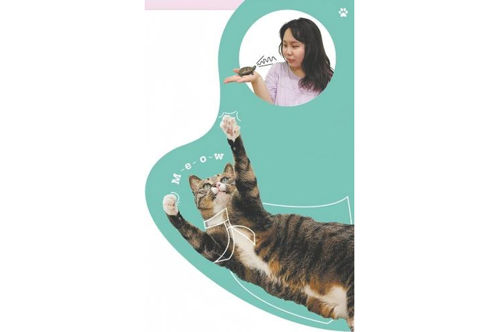 Tu Jingyi with Xuanwu the tortoise. Fangbiandai, a therapy cat at Genshine Psychology. PHOTO PROVIDED TO CHINA DAILY