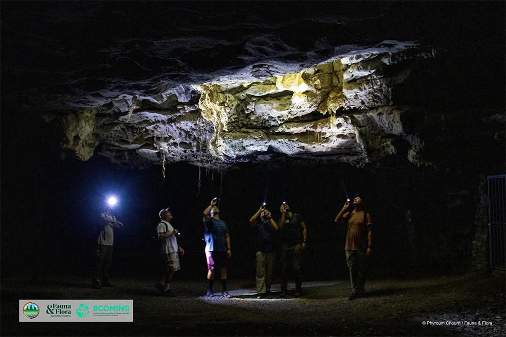 They were discovered during a March 2024 expedition by researchers from the environment ministry, Fauna & Flora-Cambodia and La Sierra University in the US. Flora & Fauna