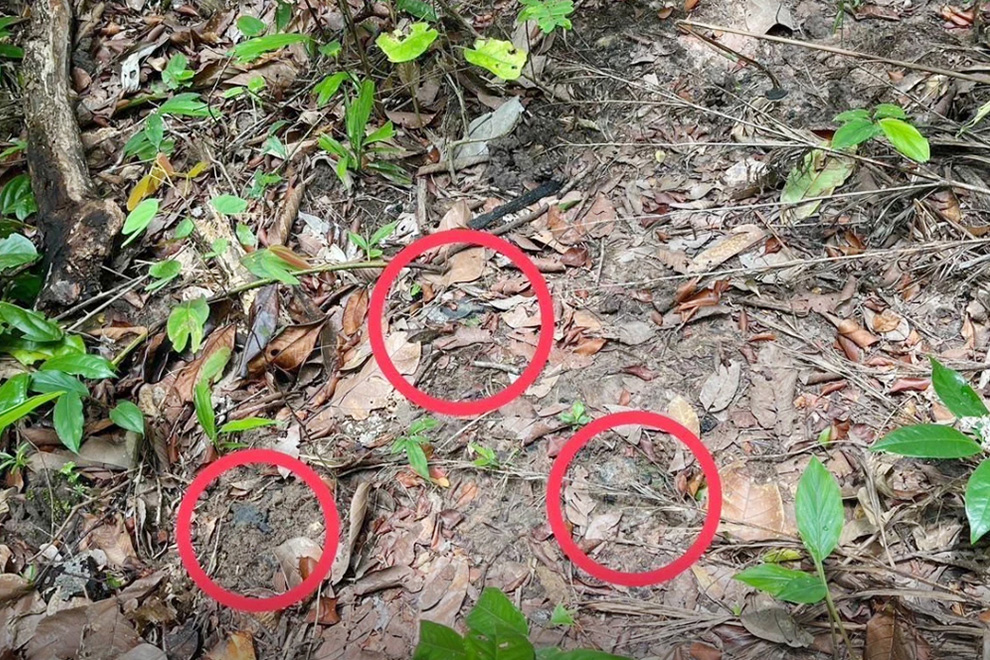 Cambodia has steadfastly denied these allegations, asserting that the landmine in question was a remnant from past conflicts and that Thai troops had unlawfully entered Cambodian territory, triggering the incident. The Nation Thailand/ANN