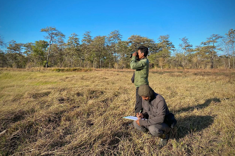 The positive growth reflects the contributions of the environment ministry, as well as the hard work of conservationists on the ground, said ministry partners. SCCWG