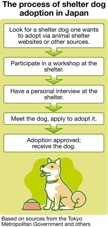 GRAPHICS: THE YOMIURI SHIMBUN