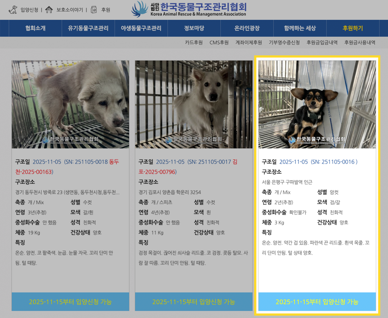 The Chihuahua (right) is one of many dogs, cats and other animals that are being sheltered at the Korea Animal Rescue & Management Association. According to the website, the Chihuahua will be available for adoption after Nov. 15. PHOTO: CONTRIBUTED/THE KOREA HERALD