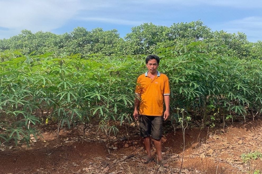 Mr. Ri Rath, a cassava and cashew farmer in Pech Chreada District, Mondulkiri Province