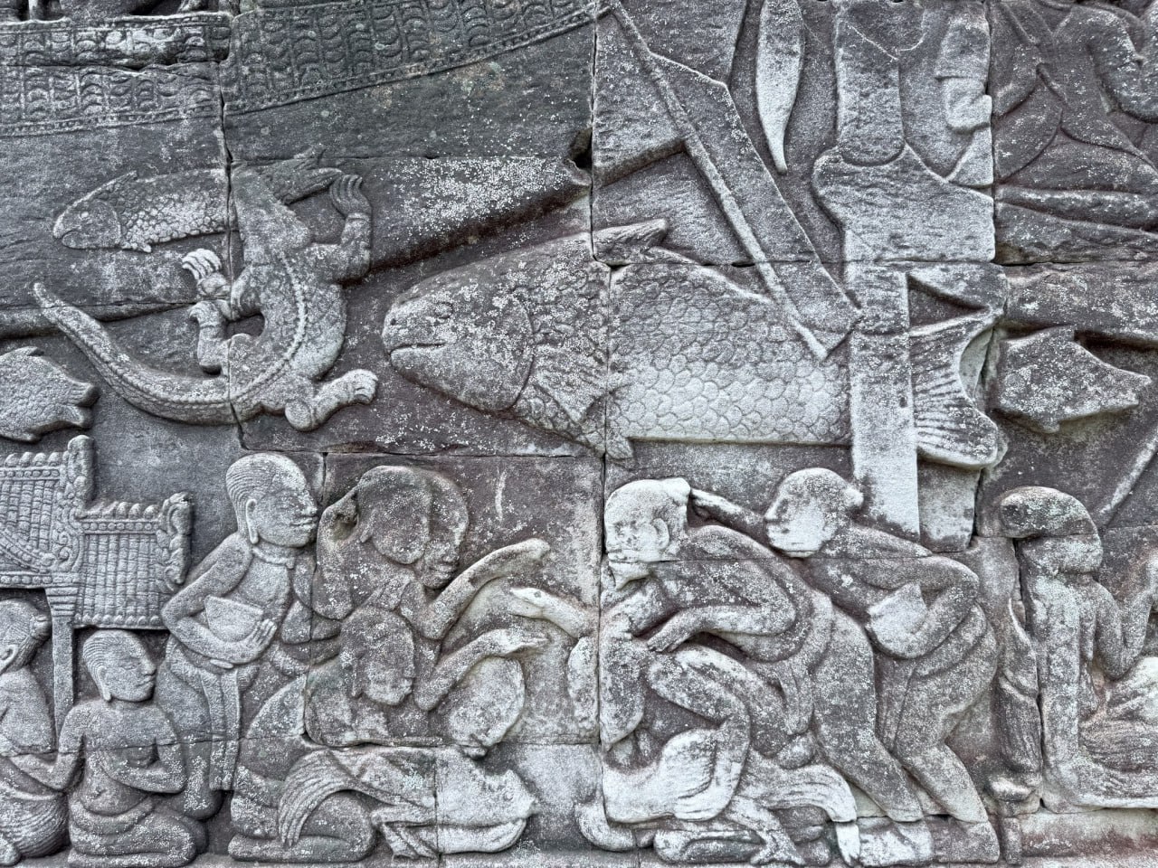 The Mekong giant barb is Cambodia’s national fish. Images of the species are carved in the bas-reliefs of the Bayon and Angkor Wat temples. Wonders of the Mekong