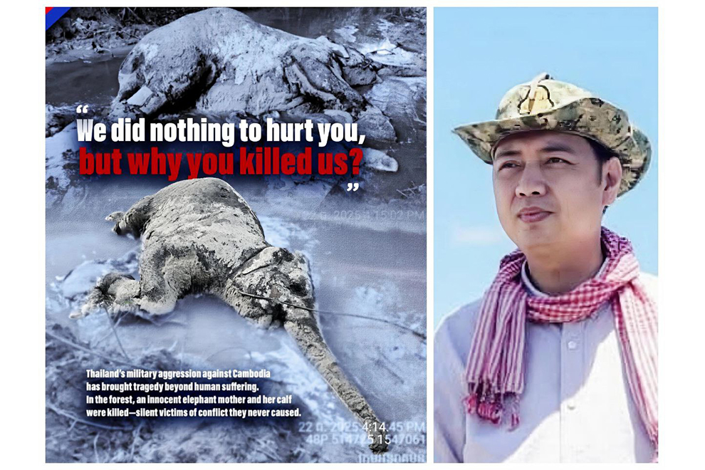 A female wild elephant and her newborn calf were found dead in the Preah Roka–Chheb Wildlife Sanctuary, reportedly after being struck by Thai munitions. Information minister Neth Pheaktra serves as honorary president of the Airavata Elephant Foundation. Supplied