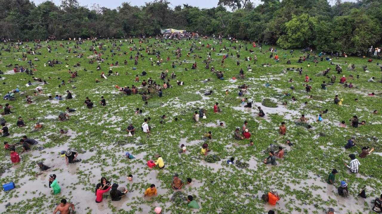 The agriculture ministry said the excellent harvest was the result of its strong conservation work, and the contribution of young fish by agriculture minister Dith Thina. Agriculture ministry