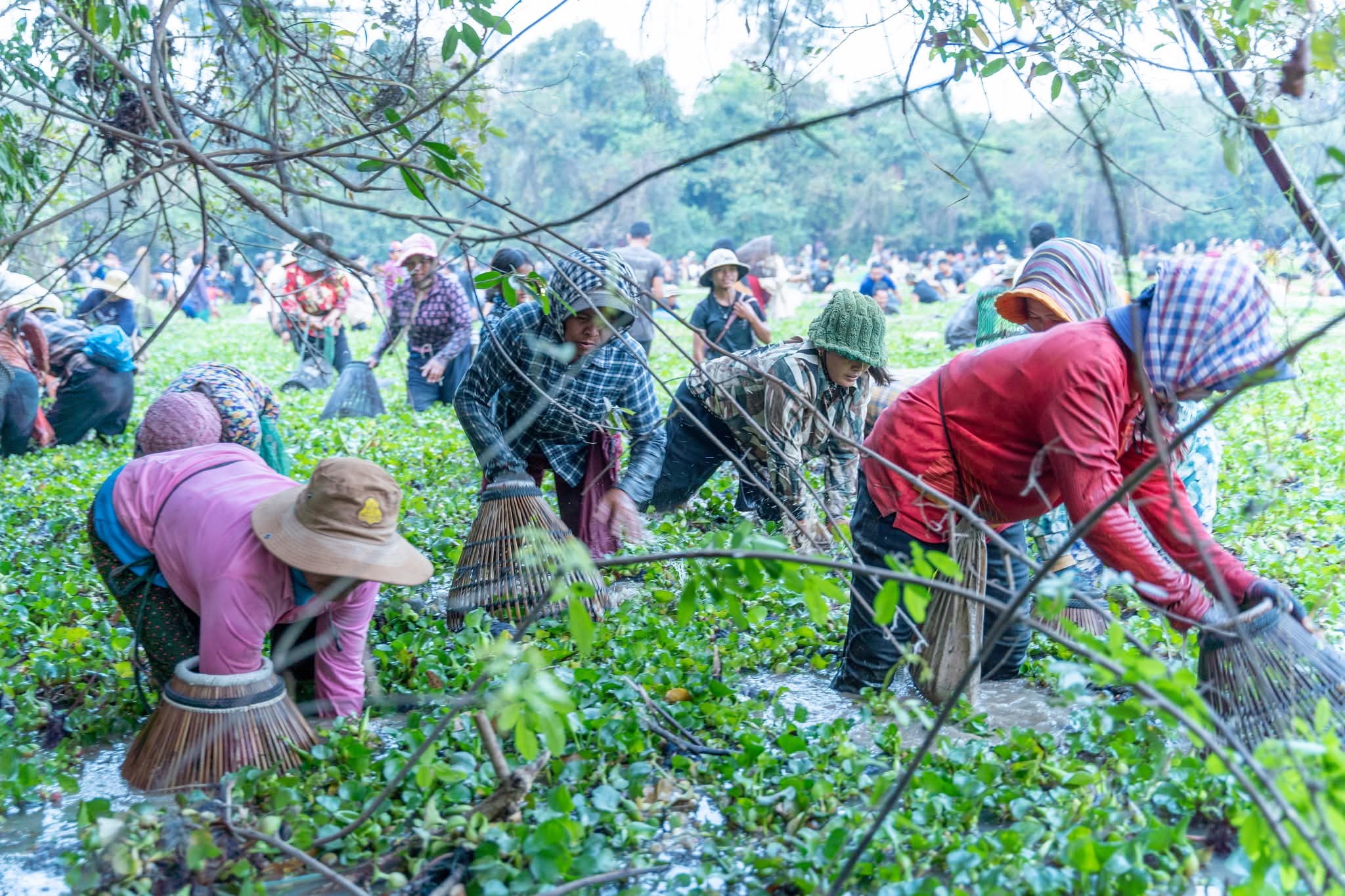 An estimated eight tonnes were caught, using only traditional methods. Siem Reap information department