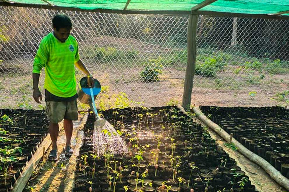 Mondulkiri restores 25ha forest cover