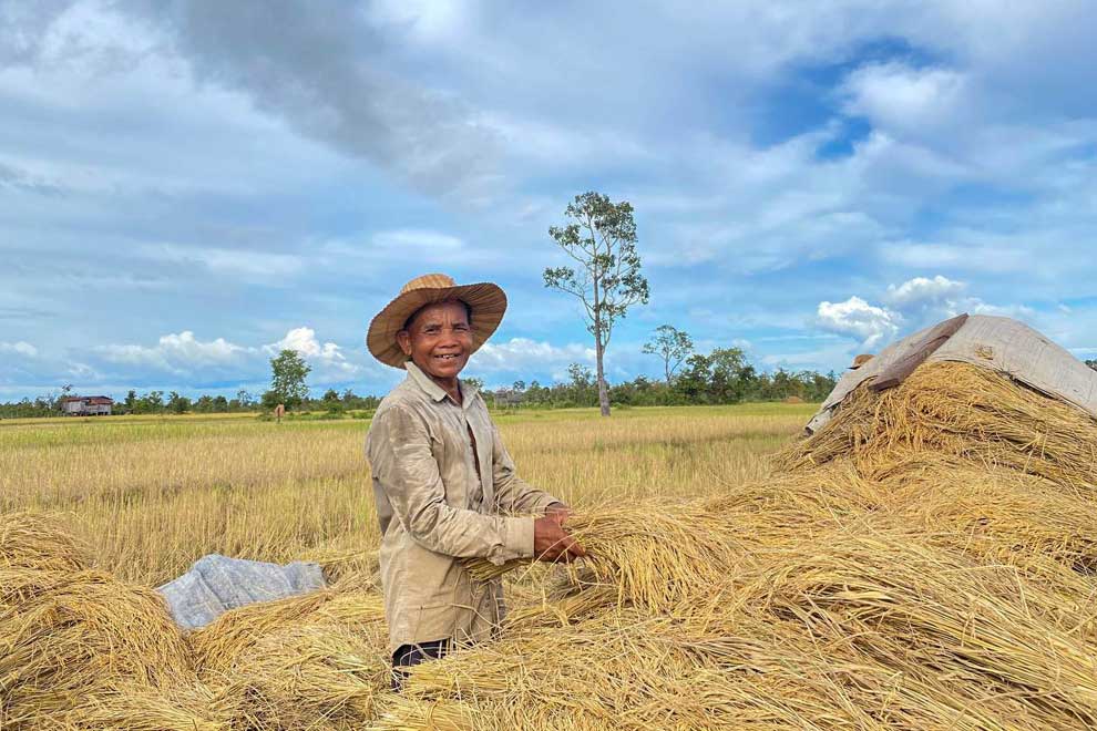 IBIS Rice initiative lifts rural prosperity