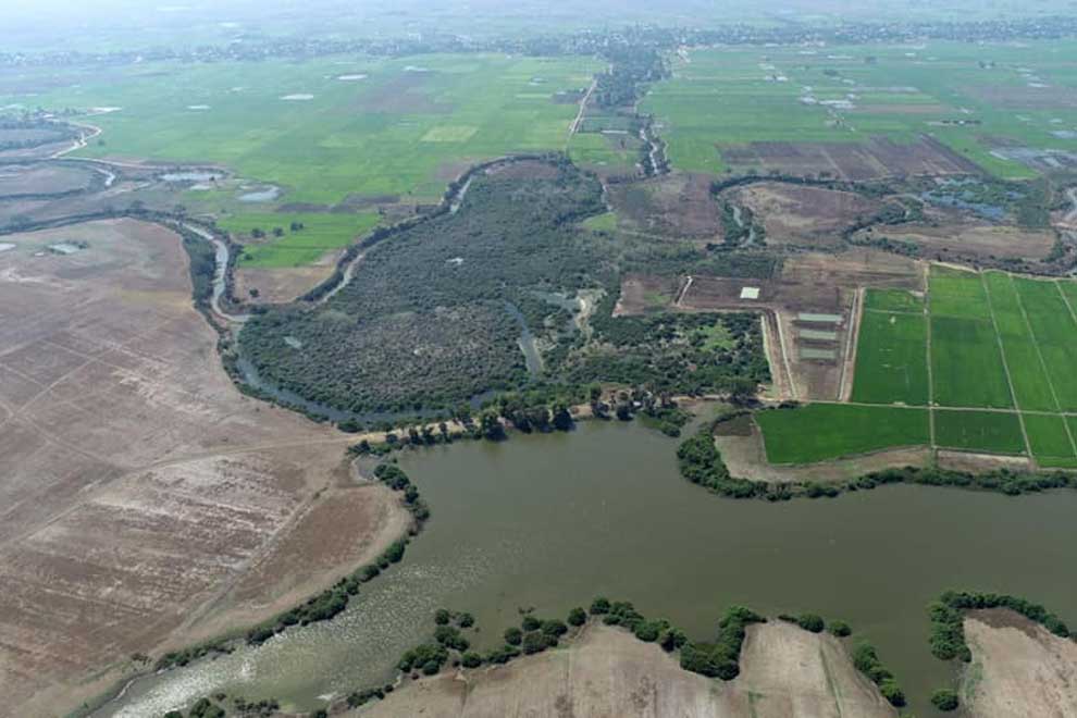 New canal in Banteay Meanchey to enrich birding in Rohal Kes