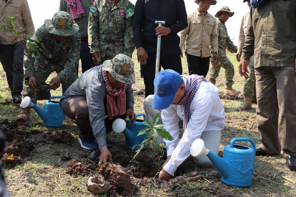 700K saplings almost set for public planting