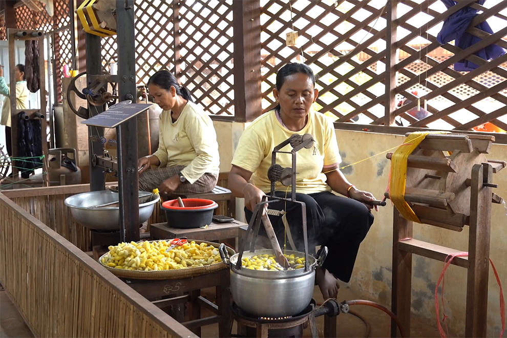 The farm currently employs 191 workers, including 11 men and 180 women, who are involved in various stages of silk production. Supplied