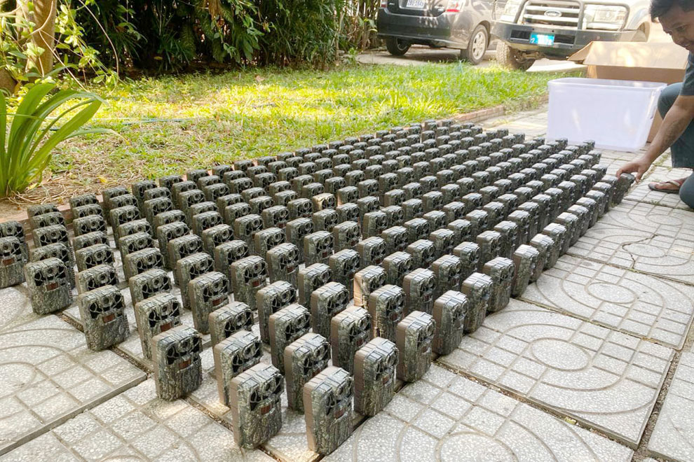 Enhanced camera traps aid tiger resettlement