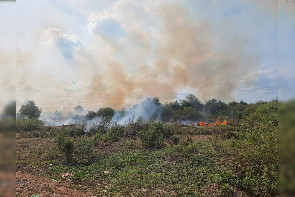 Negligence leading to forest fires punishable by jail