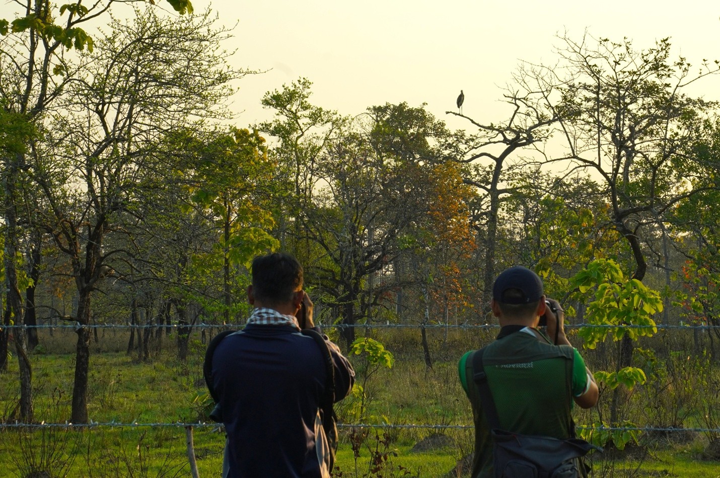 Guests staying at Siempang Forest Lodge have the chance to witness the rare birds and wild animals in Siem Pang Wildlife Sanctuary. Hong Raksmey 