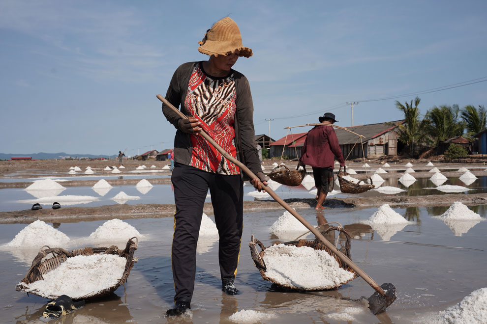 Kampot-Kep salt GI status bolsters export prospects